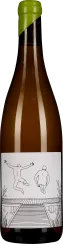 50010041