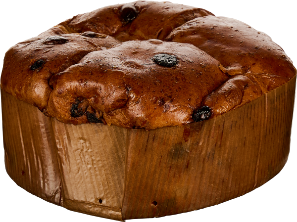 Großer, runder Panettone mit goldbrauner Kruste und dunklen Rosinen.