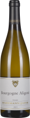 Elegante Weinflasche mit goldener Flüssigkeit, schwarzem Verschluss und ansprechendem Etikett.