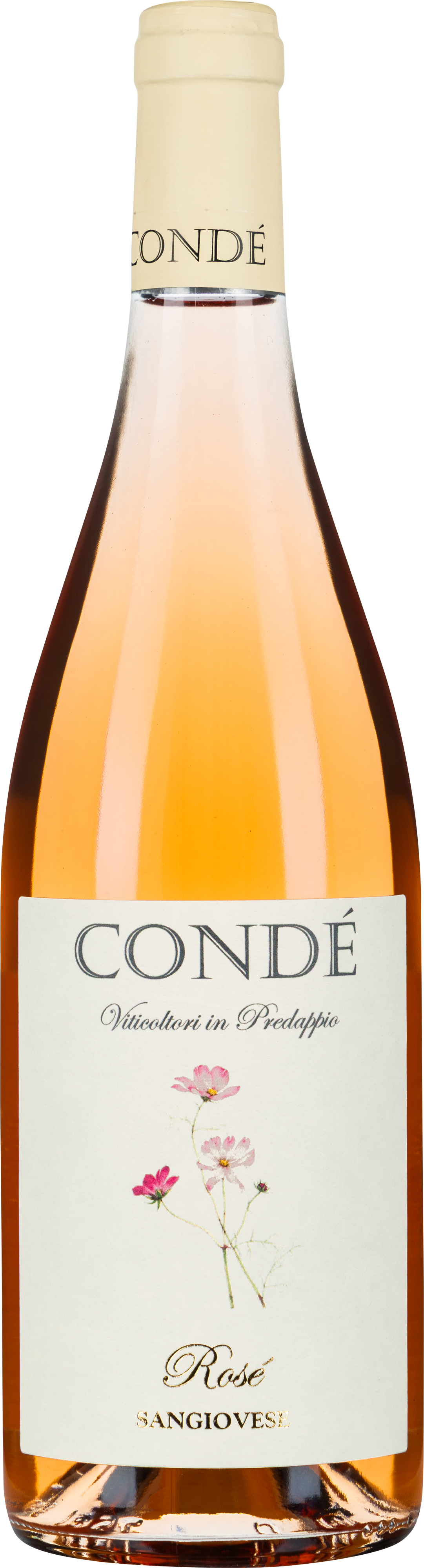 Rose Condello Chiara Condello Condé Rosé Sangiovese 2024 - WEIN & CO