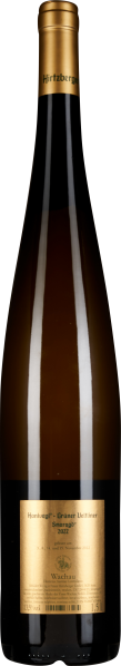 61011037.2022 2