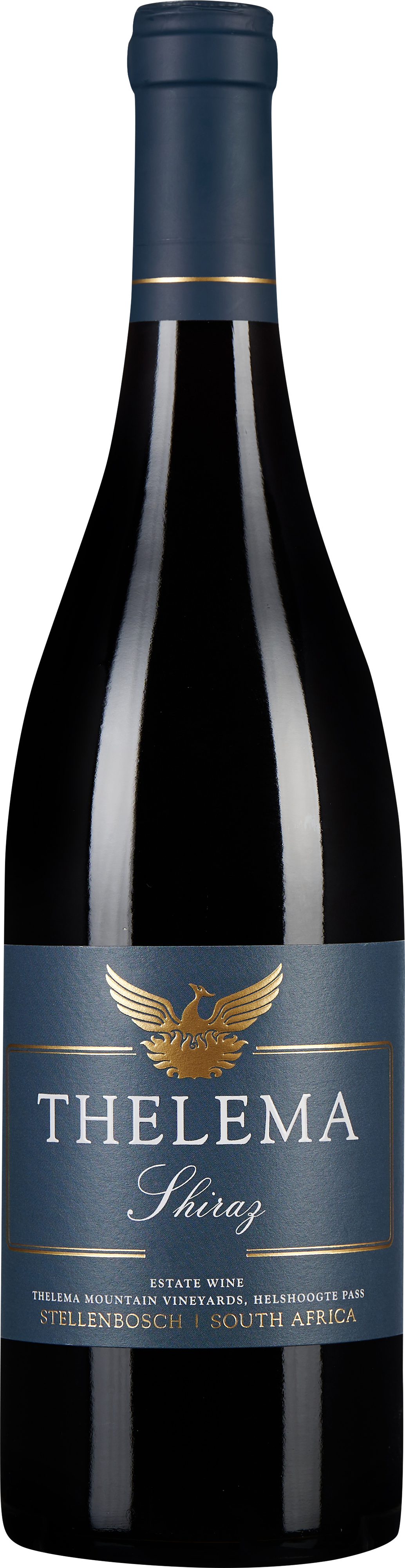 Thelema Shiraz Stellenbosch 2017 WEIN CO