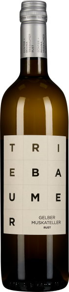64501041.png