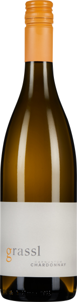 66031028