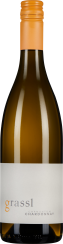 66031028