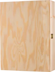 68101486.png