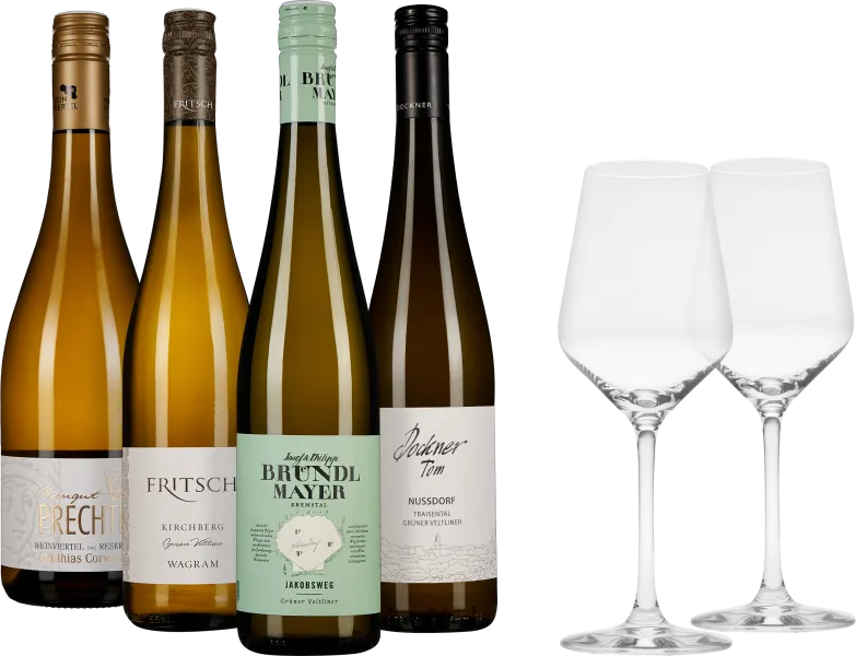 Fünf unterschiedliche Weinflaschen mit farblich variierenden Etiketten und zwei elegante, leere Weingläser.