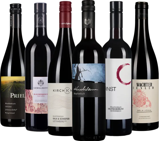 Sechs Flaschen Rotwein mit stilvollen, abwechslungsreichen Etiketten in dunklen Tönen.