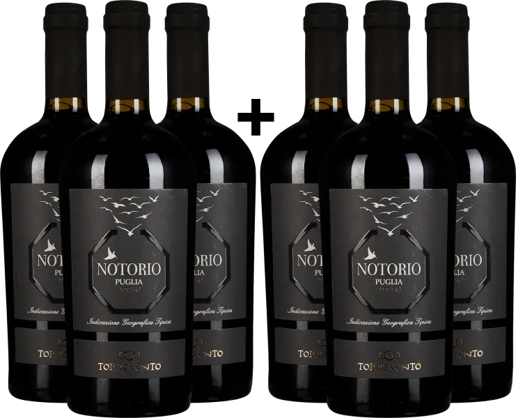 Sechser-Pack schwarze Weinflaschen mit eleganten, dunkelgrauen Etiketten und Vogelgrafiken.