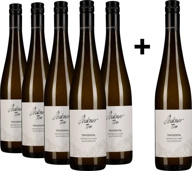 Sechser-Set Weißweinflaschen mit eleganten Etiketten und dunklen Verschlüssen.