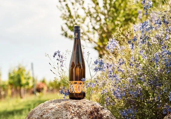 117 Prechtl 2024 Feichtinger