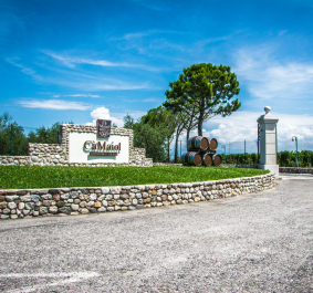 2014 07 25 Provenza 015