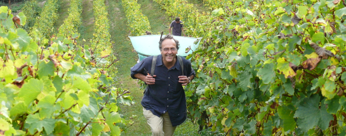 25 Nicolas Joly (9)