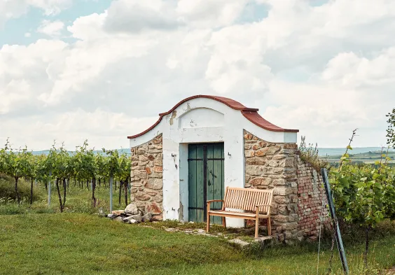 99 Prechtl 2024 Feichtinger