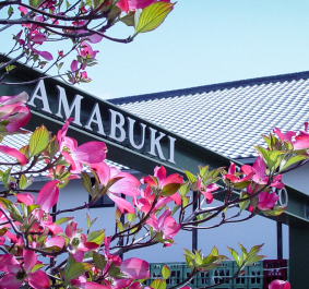 Amabuki header