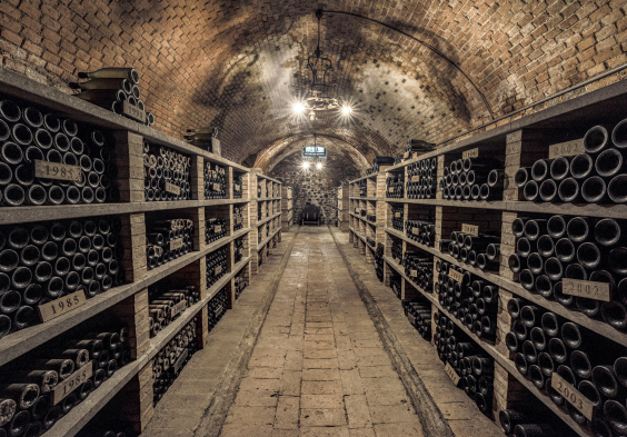 Antinori Cantina (21)