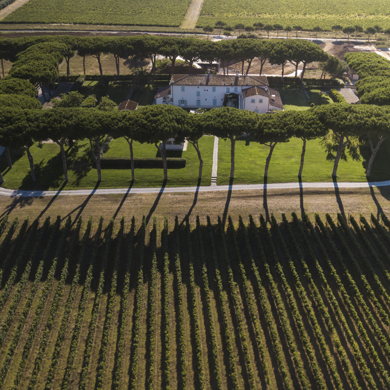 Antinori Tenuta Guado al Tasso aerea