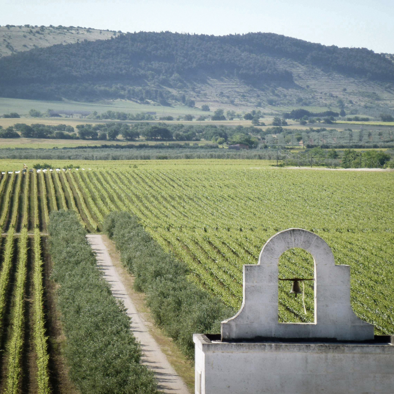 Antinori Tormaresca CR Filter