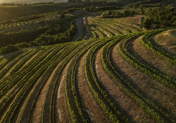 Antinori Castello della Sala 5