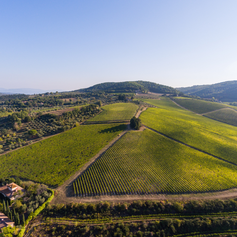Antinori tenuta tignanello 3