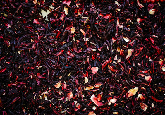 Arensbak Hibiskus