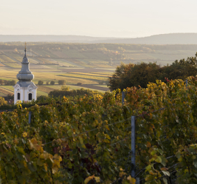 Barockkirche in herbstlichen Weinbergen mit weitem Blick auf die Landschaft.