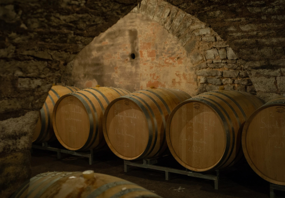 Barolet (14)