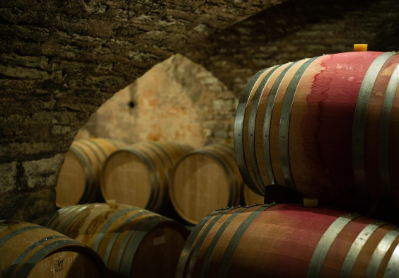Barolet (15)