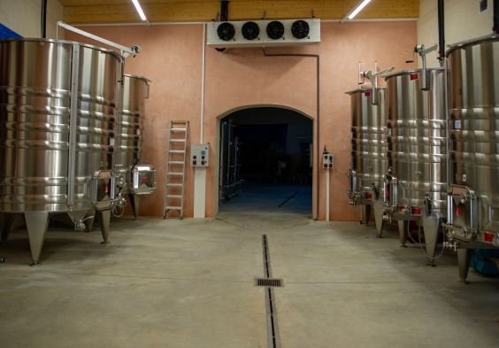 Barolet (16)