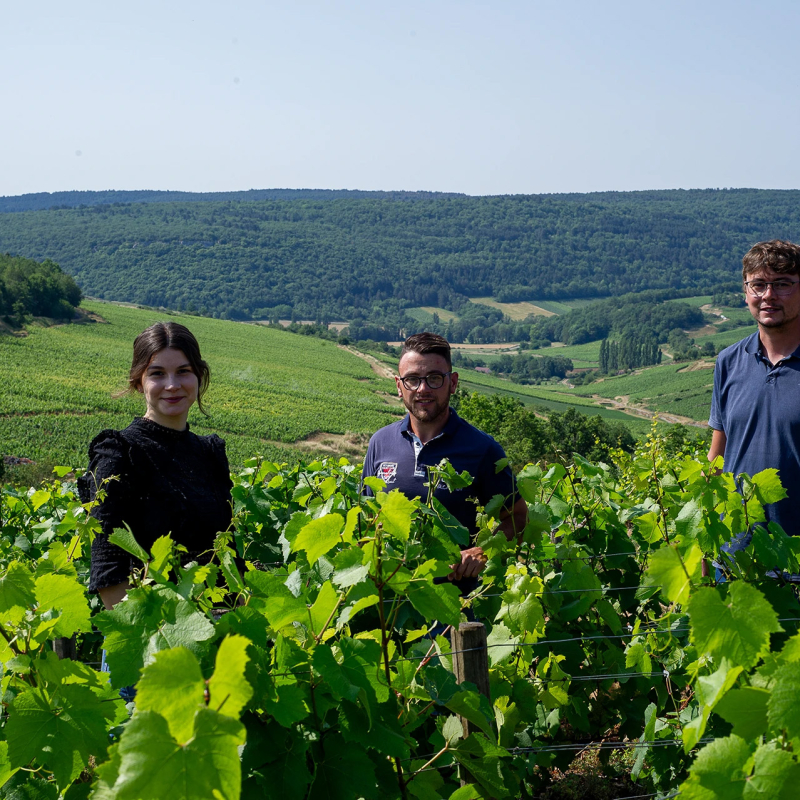 Barolet (22)