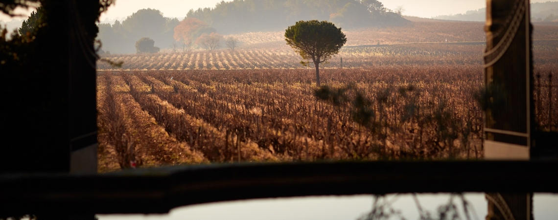 Beaucastel (1)
