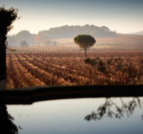 Beaucastel (1)