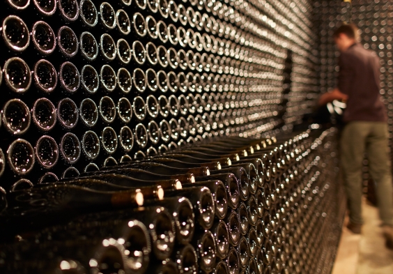 Beaucastel (5)