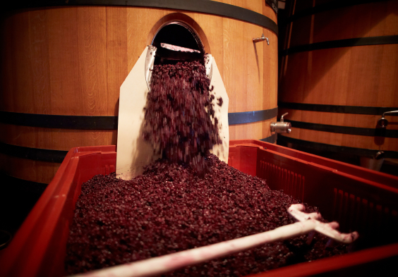 Beaucastel (6)
