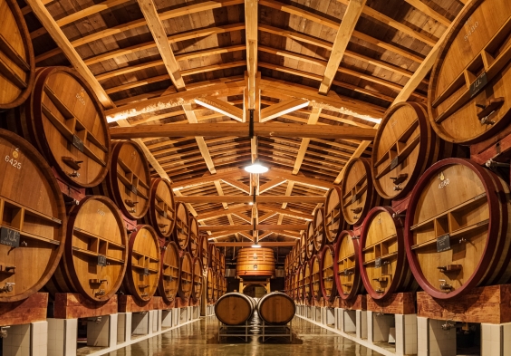 Beaucastel (7)