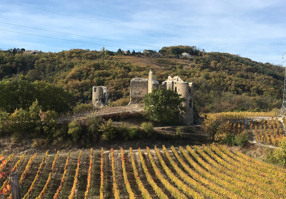 Belle Le Chateau Cuvee Louis BELLE