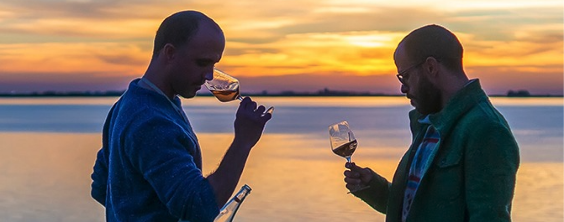 Bodega Vinificate