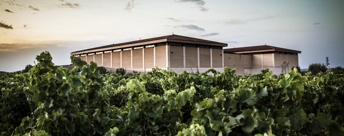 Bodega maques del silvo