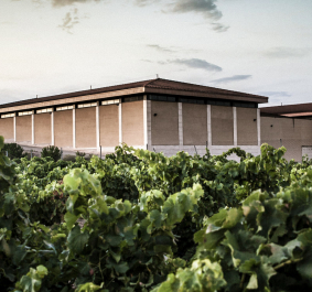 Bodega maques del silvo