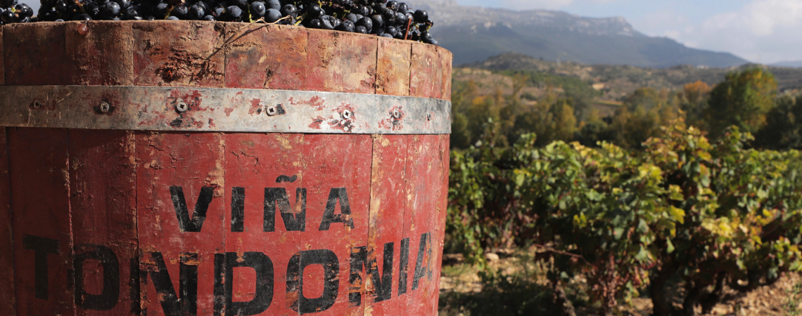 Bodegas Lopez de Heredia Vina Tondonia Comporta Vendimia header