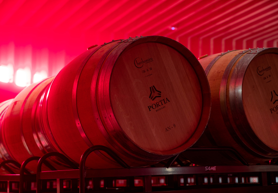 Bodegas Portia (11)