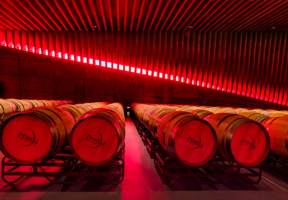 Bodegas Portia (4)