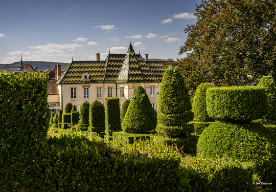 Bouchard (5)