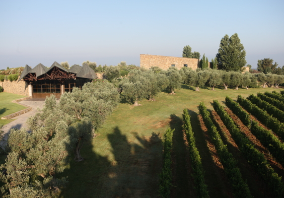 Camarcanda (1)