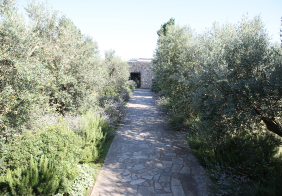 Camarcanda (22)