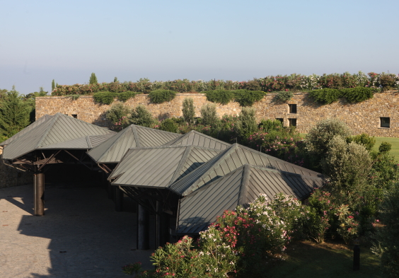 Camarcanda (6)