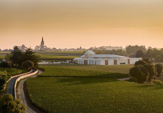 Chateau Belair Monange Winery Credit photo Florent Larronde