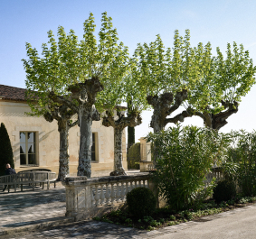 Chateau Montrose