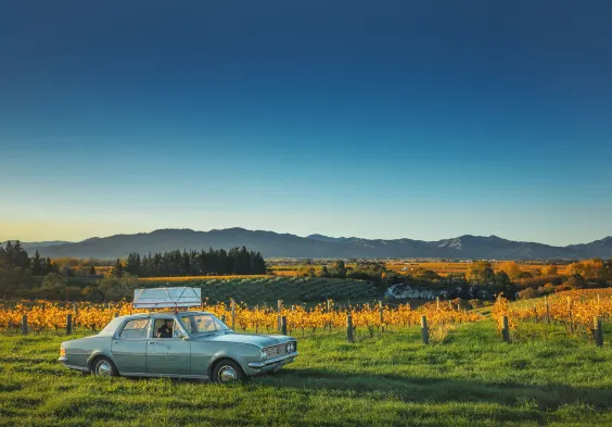 Dog Point Holden Autumn