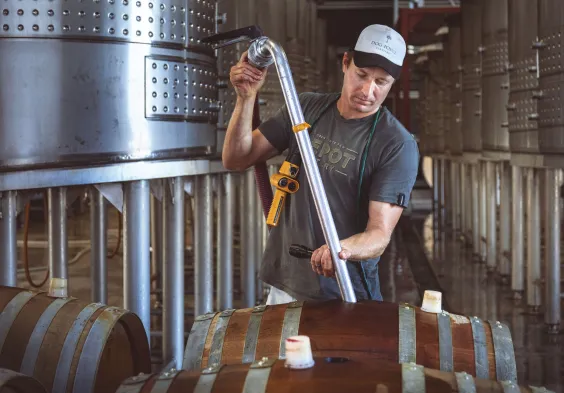 Dog Point Matt barrels